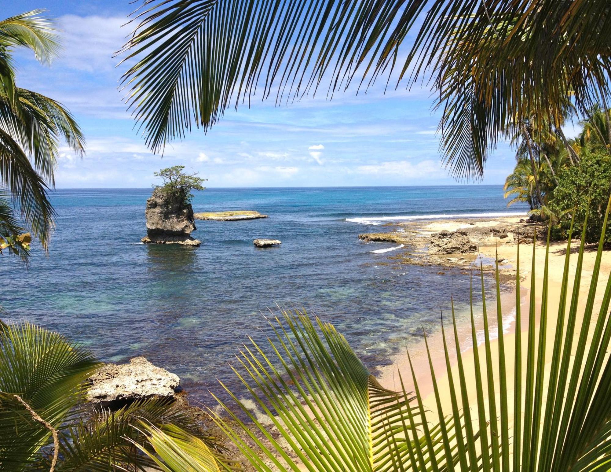 Physis Caribbean Bed & Breakfast Puerto Viejo de Talamanca Luaran gambar