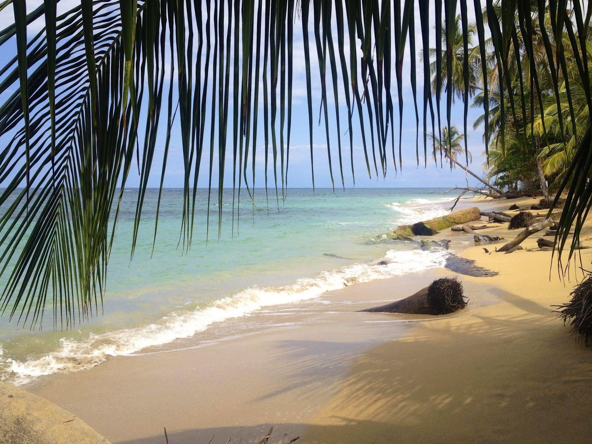 Physis Caribbean Bed & Breakfast Puerto Viejo de Talamanca Luaran gambar